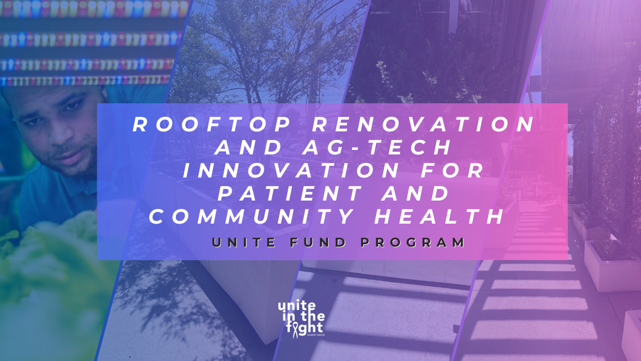 rooftop garden